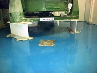 pavimentos epoxi sala limpia